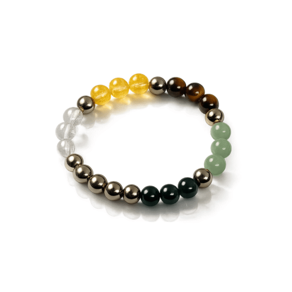 original-money-bracelet