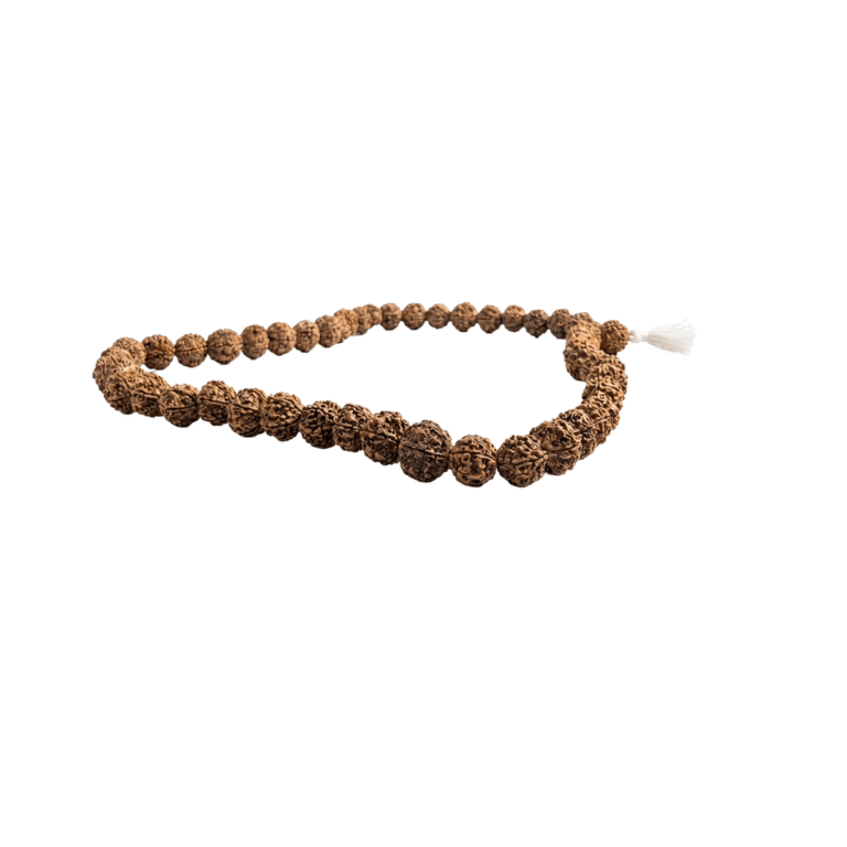 5-mukhi-rudraksha-mala-51-beads-natural-energy-stones