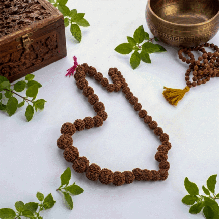 5 Mukhi Rudraksha Mala 51 Beads | Natural Energy Stones