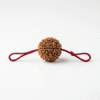 Original natural 5 Mukhi Rudraksha bead with five distinct faces for meditation, spiritual growth, peace, and positive energy