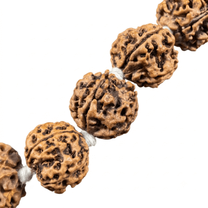 5 mukhi Low quality 56 beads nepali rudraksha mala