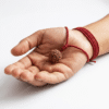 Original natural 5 Mukhi Rudraksha bead with five distinct faces for meditation, spiritual growth, peace, and positive energy