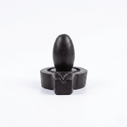 buy-dark-brown-banalingam-narmadeshwar-shivling-with-jaladhari-natural-energy-stones