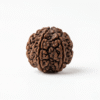 Original natural 5 Mukhi Rudraksha bead with five distinct faces for meditation, spiritual growth, peace, and positive energy