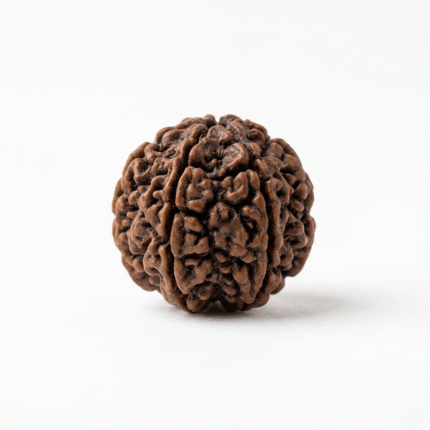 original-5-mukhi-rudraksha-natural-energy-stones