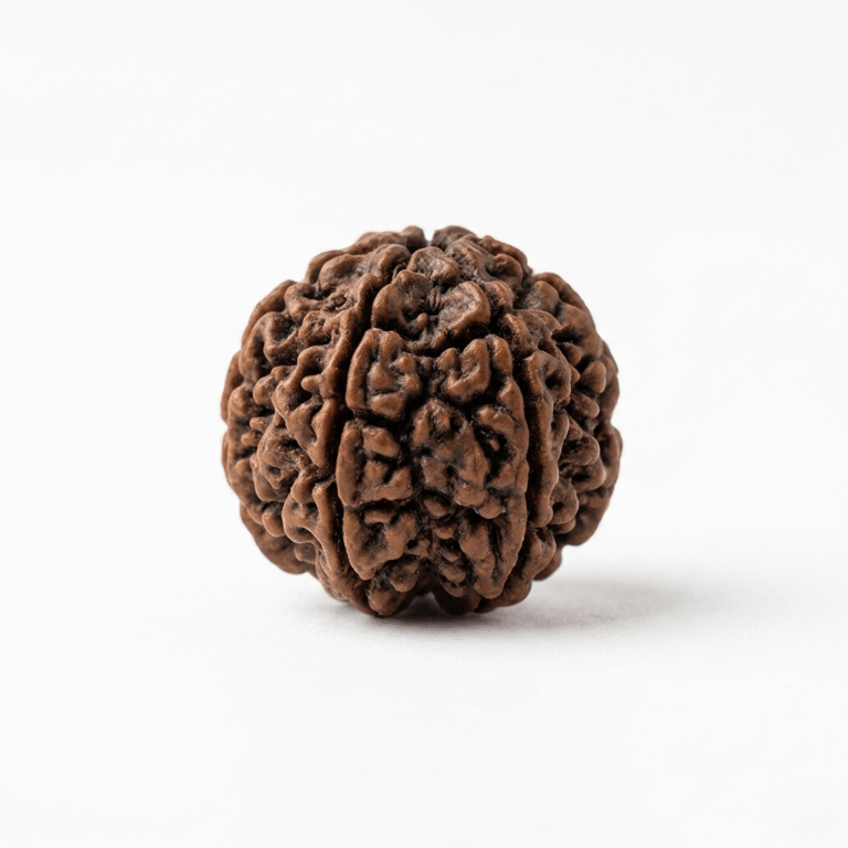 original-5-mukhi-rudraksha-natural-energy-stones