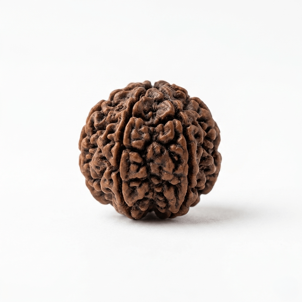 Original natural 5 Mukhi Rudraksha bead with five distinct faces for meditation, spiritual growth, peace, and positive energy