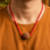 Original natural 5 Mukhi Rudraksha bead with five distinct faces for meditation, spiritual growth, peace, and positive energy