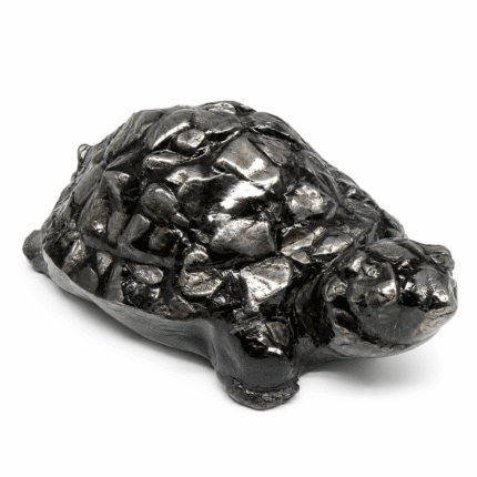 pyrite orgonite tortoise