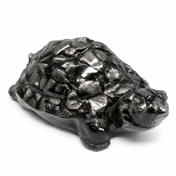 natural-pyrite-orgonite-tortoise-for-wealth-prosperity-vastu-energy-healing