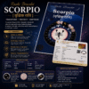 Scorpio Zodiac Sign Bracelet (Vrishchik Rashi) | Lucky Crystal Bracelet for Protection, Strength, Transformation & Positive Energy Scorpio Zodiac Sign Bracelet (Vrishchik Rashi) | Lucky Crystal Bracelet for Protection, Strength, Transformation & Positive Energy